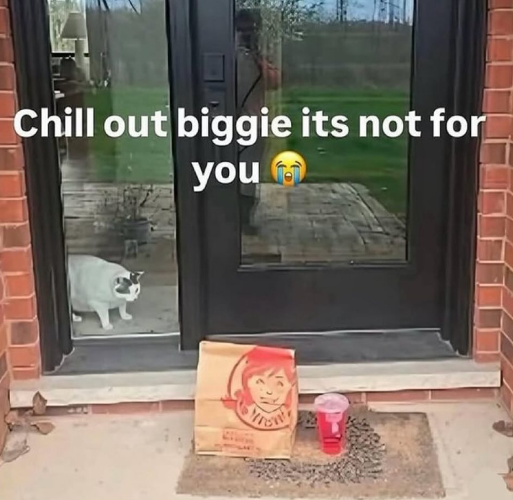 Chill out biggie its not for you