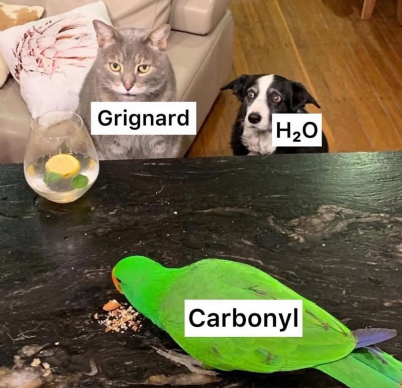 Grignard H₂O Carbonyl