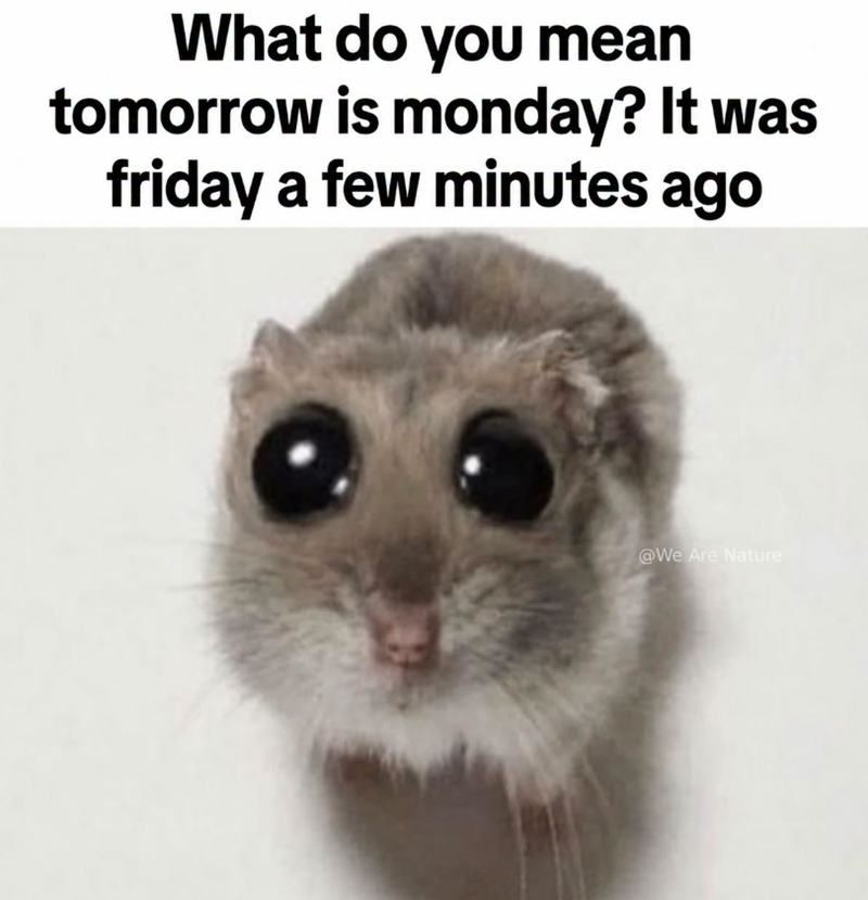 What do you mean tomorrow is monday? It was friday a few minutes ago @We Are Nature