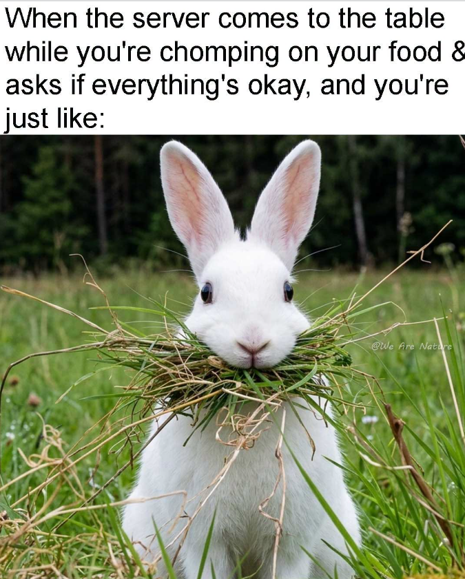 When the server comes to the table while you're chomping on your food & asks if everything's okay, and you're just like: @We Are Nature