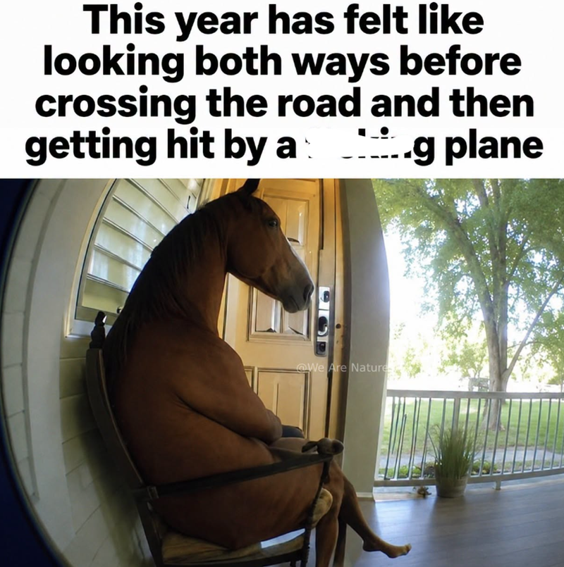This year has felt like looking both ways before crossing the road and then getting hit by a ..g plane We Are Nature