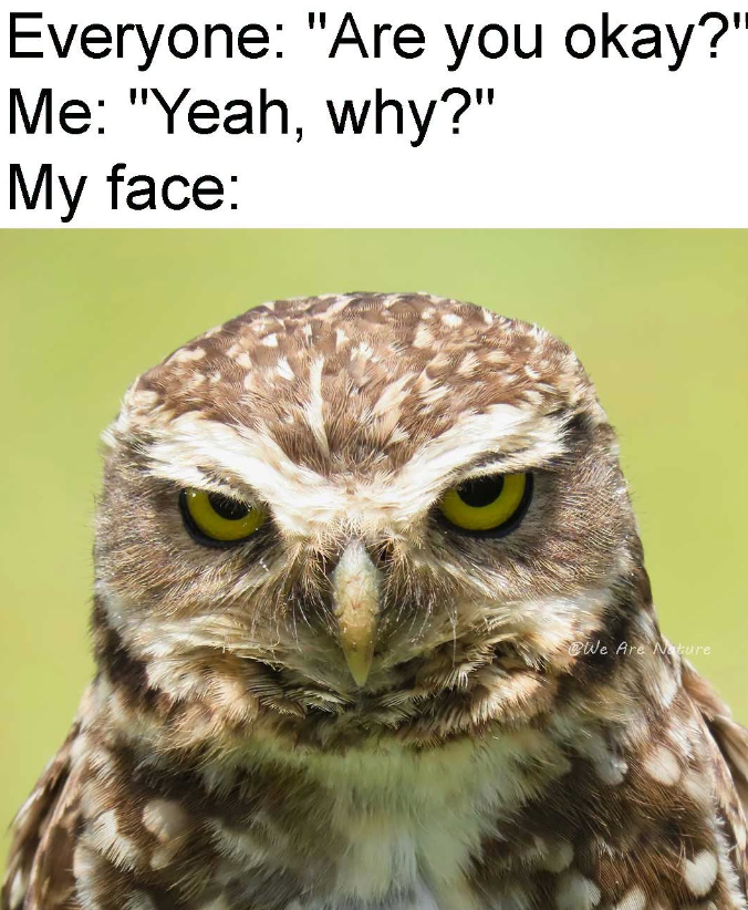 Everyone: "Are you okay?" Me: "Yeah, why?" My face: We Are Nature