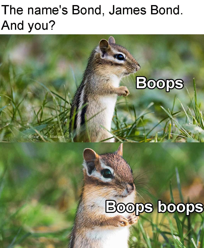 The name's Bond, James Bond. And you? @We Are Nature Boops Boops boops
