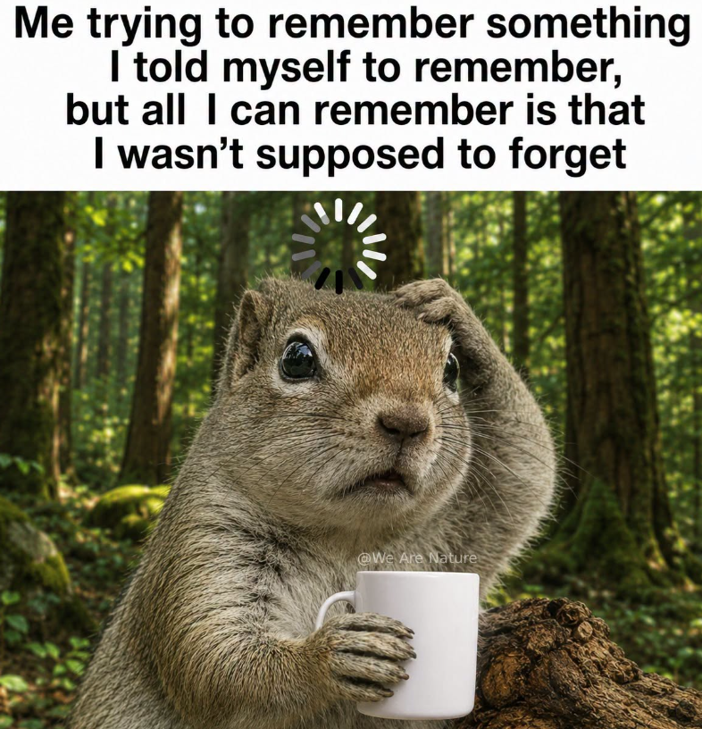 Me trying to remember something I told myself to remember, but all I can remember is that I wasn't supposed to forget @We Are Nature