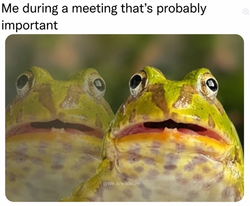 Me during a meeting that's probably important @We Are Nature