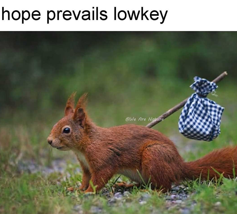 hope prevails lowkey @We Are Nature