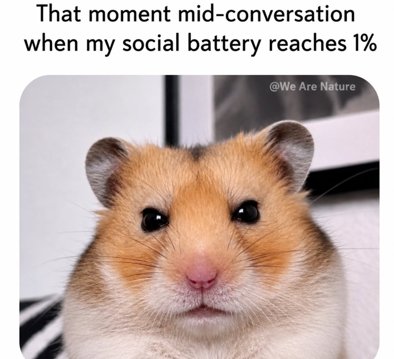 That moment mid-conversation when my social battery reaches 1% @We Are Nature