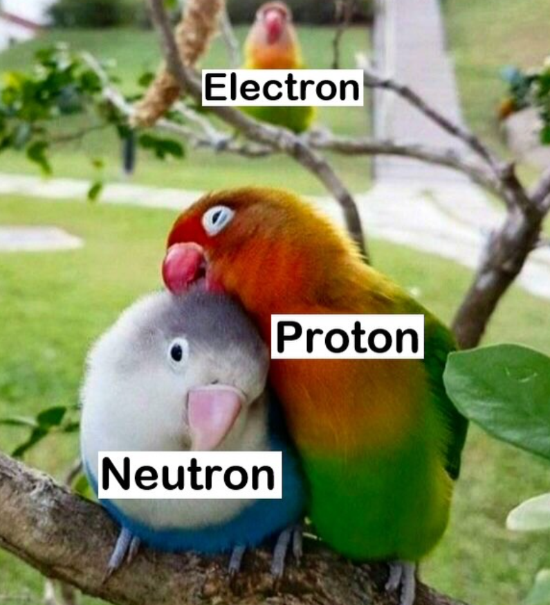 Electron Neutron Proton