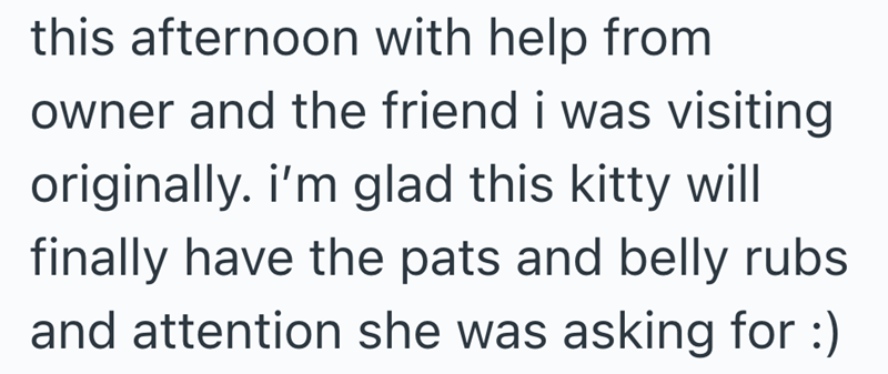 this afternoon with help from owner and the friend i was visiting originally. i'm glad this kitty will finally have the pats and belly rubs and attention she was asking for :)