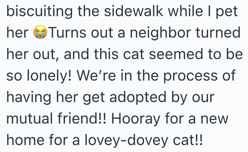 biscuiting the sidewalk while I pet her Turns out a neighbor turned her out, and this cat seemed to be so lonely! We're in the process of having her get adopted by our mutual friend!! Hooray for a new home for a lovey-dovey cat!!