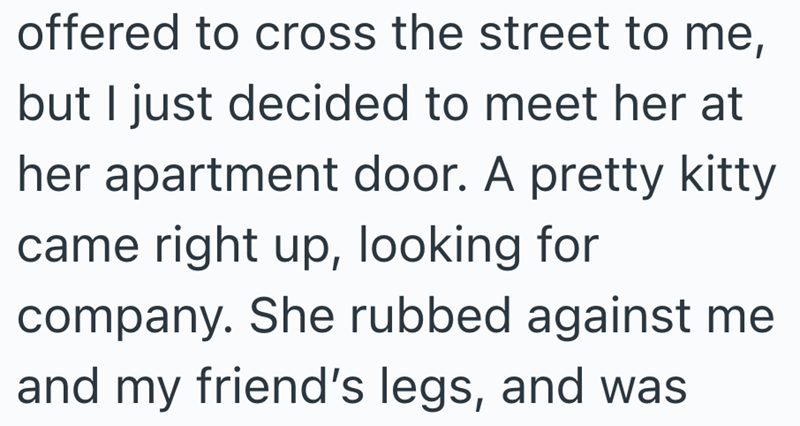 offered to cross the street to me, but I just decided to meet her at her apartment door. A pretty kitty came right up, looking for company. She rubbed against me and my friend's legs, and was