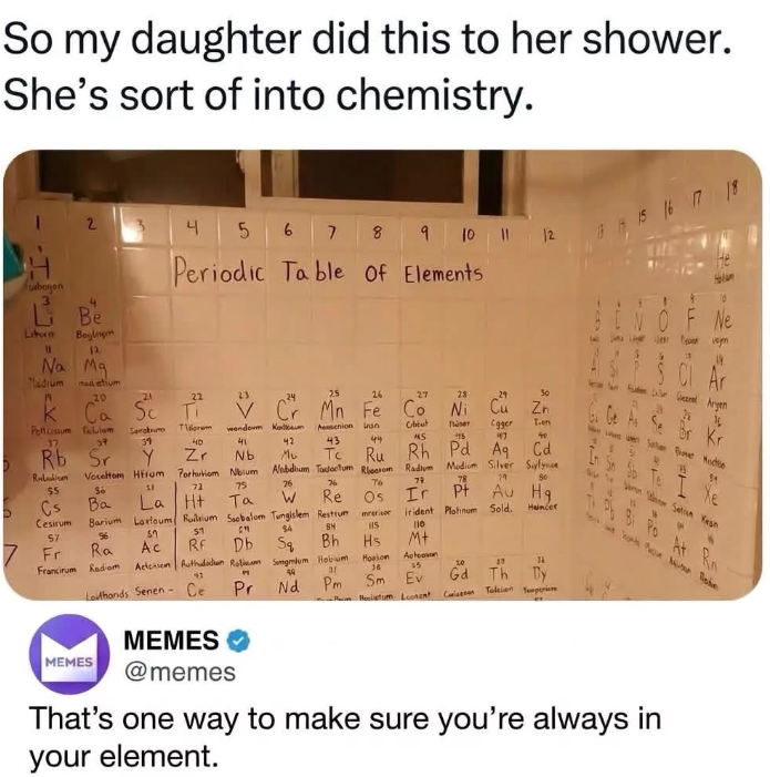 So my daughter did this to her shower. She's sort of into chemistry. 2 4 5 6 7 8 9 10 11 12 21 22 Sarobum Trum wondom Kodum 37 39 39 bogon 3 Liture Be Beyling 12. Na Ma Madium mad etium 20 k Ca Peltcissum Gellum Periodic Table of Elements 2.5 24 27 28 26 Cr Mn Fe Co Ni Cu 29 30 Anion han Chiut Πάντ Cgger но 41 42 43 44 MS ть 147 Rb Sr Rakkinen Y Zr Nb Mu Tc Voteltom Hfrom Porhuviom Nibium Anbdium Tadoctum Recom Radium $5 S6 21 72 75 26 76 76 79 78 Cs Ba La Ht Ta W Re Os Ir Pt Cesirum Barium Lart