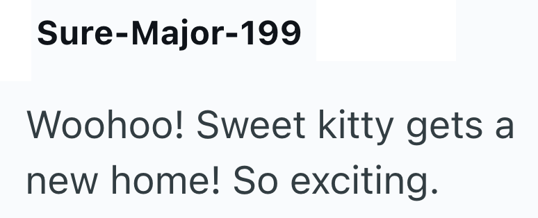 Sure-Major-199 Woohoo! Sweet kitty gets a new home! So exciting.