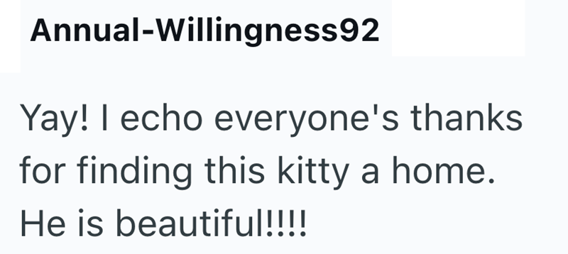 Annual-Willingness92 Yay! I echo everyone's thanks for finding this kitty a home. He is beautiful!!!!