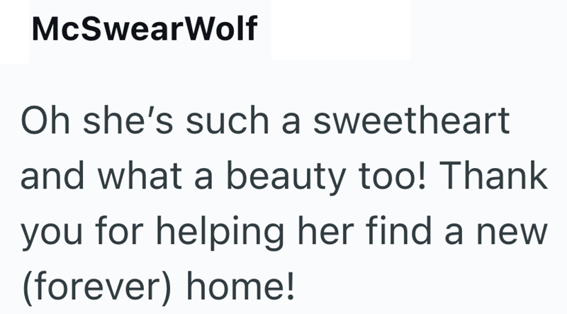 McSwearWolf Oh she's such a sweetheart and what a beauty too! Thank you for helping her find a new (forever) home!
