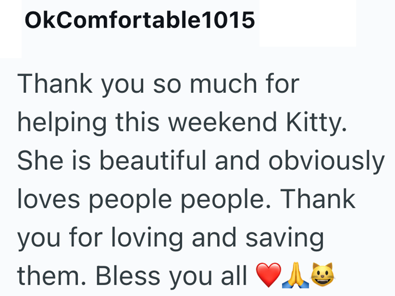 OkComfortable1015 Thank you so much for helping this weekend Kitty. She is beautiful and obviously loves people people. Thank you for loving and saving them. Bless you all ♥A