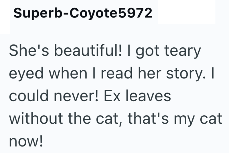 Superb-Coyote5972 She's beautiful! I got teary eyed when I read her story. I could never! Ex leaves without the cat, that's my cat now!