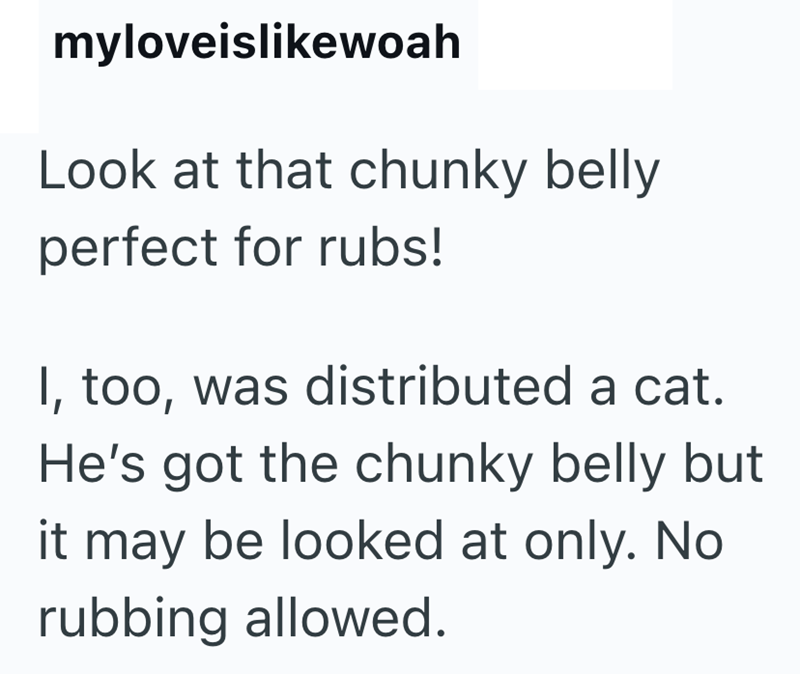myloveislikewoah Look at that chunky belly perfect for rubs! I, too, was distributed a cat. He's got the chunky belly but it may be looked at only. No rubbing allowed.