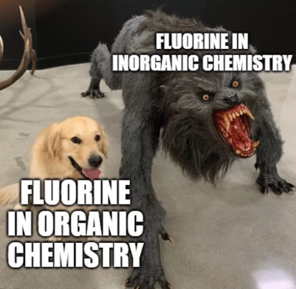 FLUORINE IN INORGANIC CHEMISTRY FLUORINE IN ORGANIC CHEMISTRY