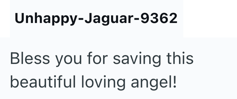 Unhappy-Jaguar-9362 Bless you for saving this beautiful loving angel!