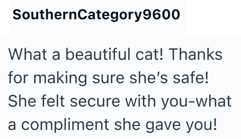 SouthernCategory9600 What a beautiful cat! Thanks for making sure she's safe! She felt secure with you-what a compliment she gave you!