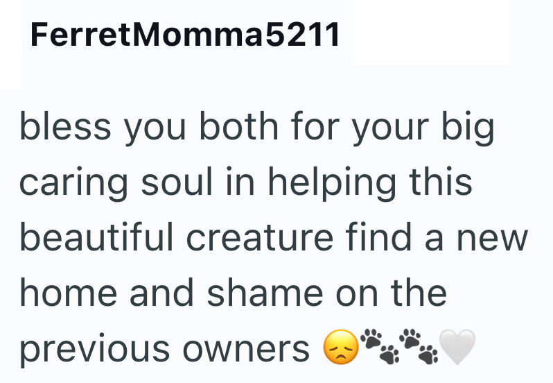 FerretMomma5211 bless you both for your big caring soul in helping this beautiful creature find a new home and shame on the previous owners