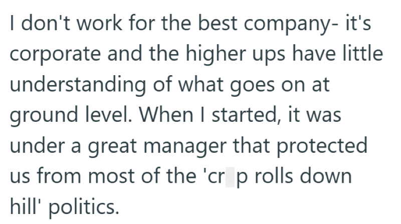 I don't work for the best company- it's corporate and the higher ups have little understanding of what goes on at ground level. When I started, it was under a great manager that protected us from most of the 'cr p rolls down hill' politics.