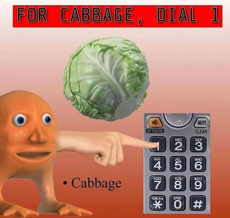FOR CABBAGE, DIAL 1 • Cabbage SP-PHONE ABC 2 MUTE CLEAR DEF 3 GHI JKL MNO 4 5 6 PORS 7 TONE A-a TUV 8 OPER O WXYZ 9 #