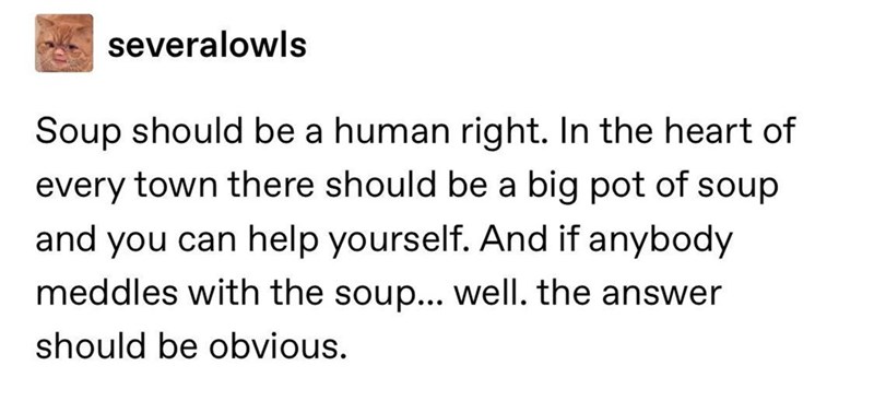 severalowls Soup should be a human right. In the heart of every town there should be a big pot of soup and you can help yourself. And if anybody meddles with the soup... well. the answer should be obvious.