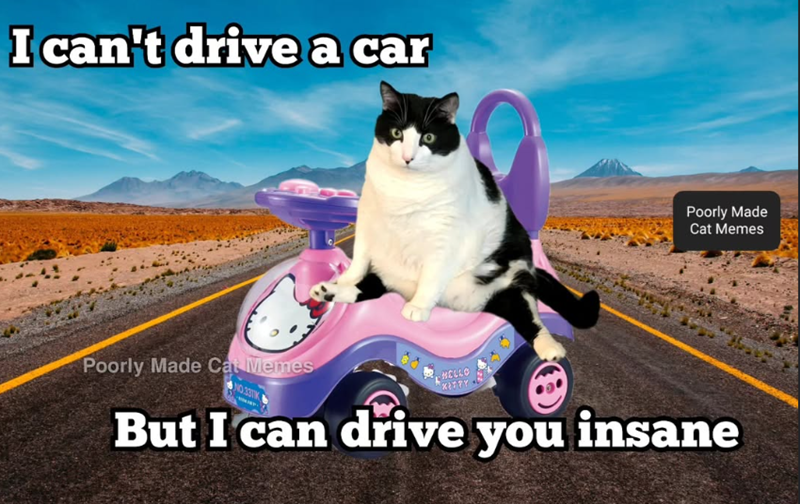 I can't drive a car 970 Poorly Made Cat Memes Poorly Made Cat Memes HELLO KITTY But I can drive you insane