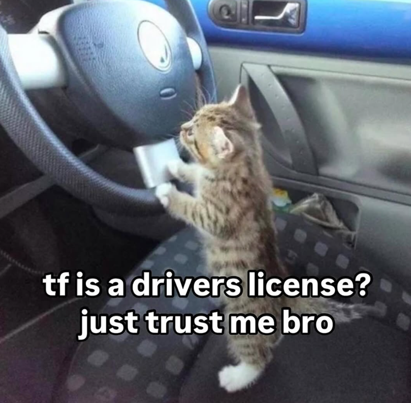 tf is a drivers license? just trust me bro