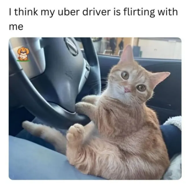 I think my uber driver is flirting with me