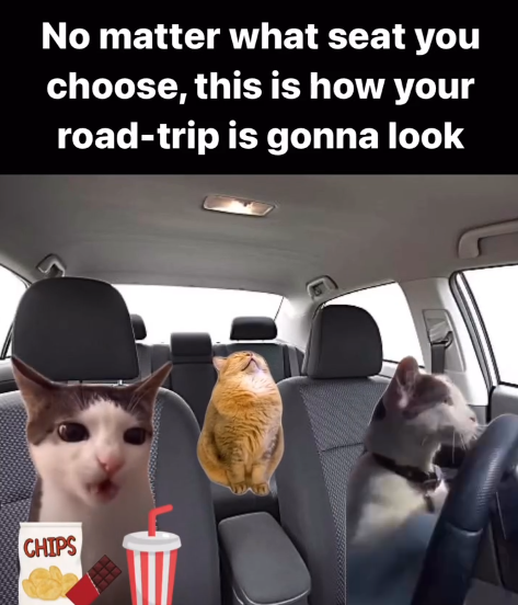 No matter what seat you choose, this is how your road-trip is gonna look CHIPS