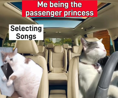 Me being the passenger princess Selecting Songs