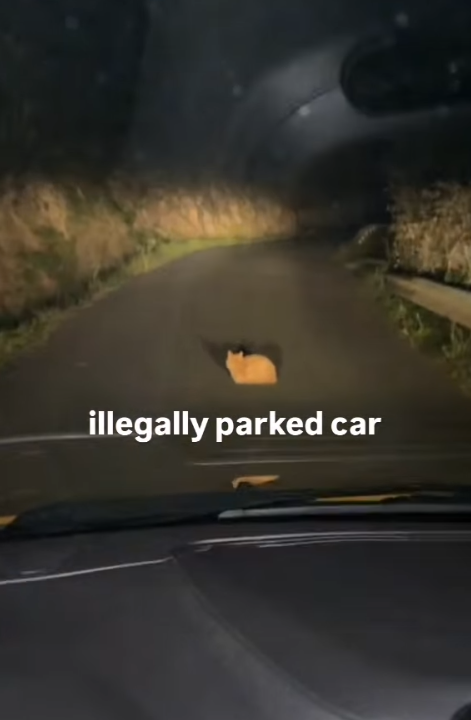 illegally parked car