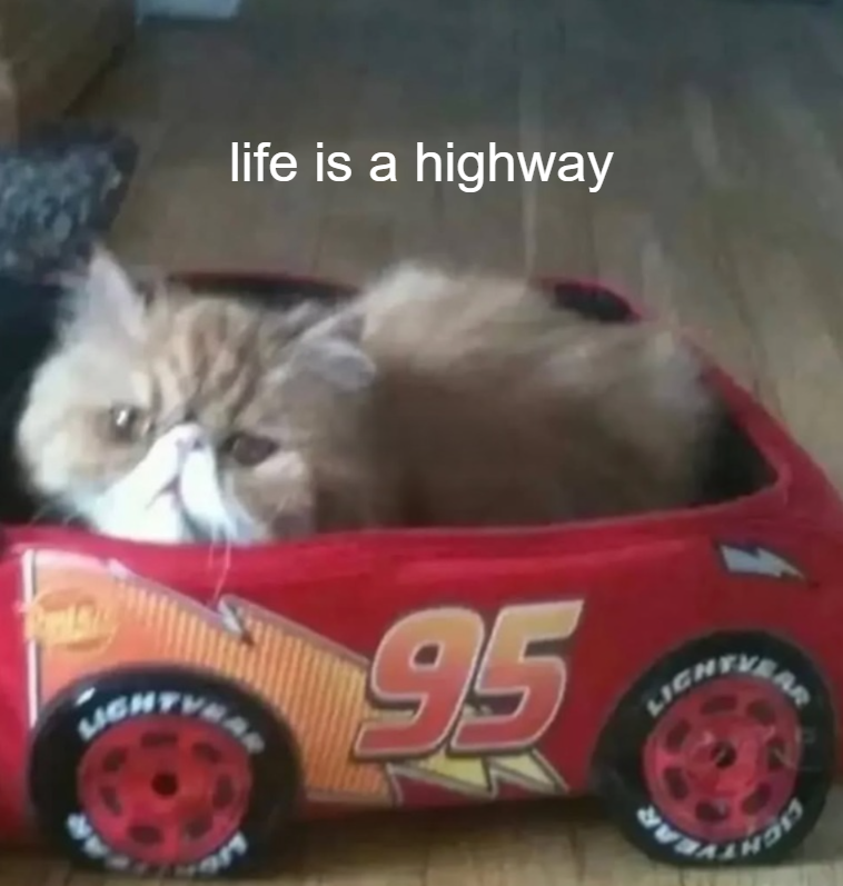AR life is a highway 95 LIGHTVERK 917