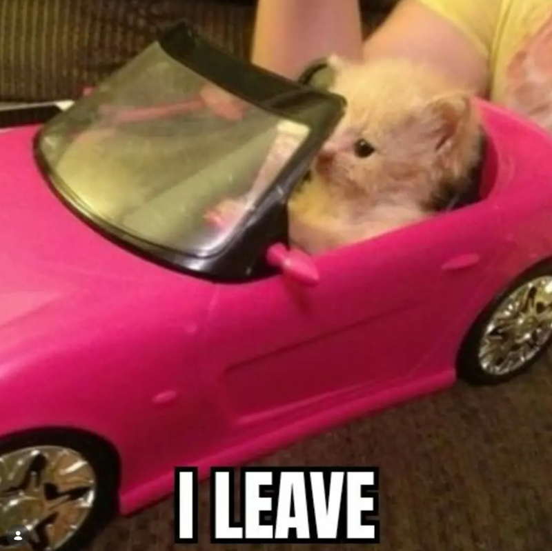 I LEAVE