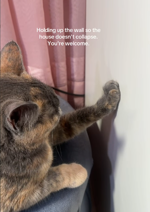 Holding up the wall so the house doesn't collapse. You're welcome.