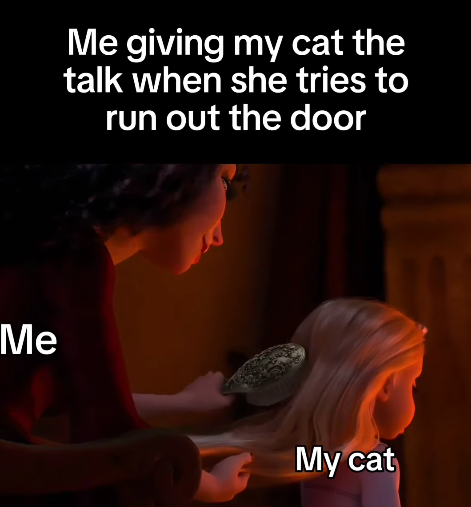 Me Me giving my cat the talk when she tries to run out the door My cat