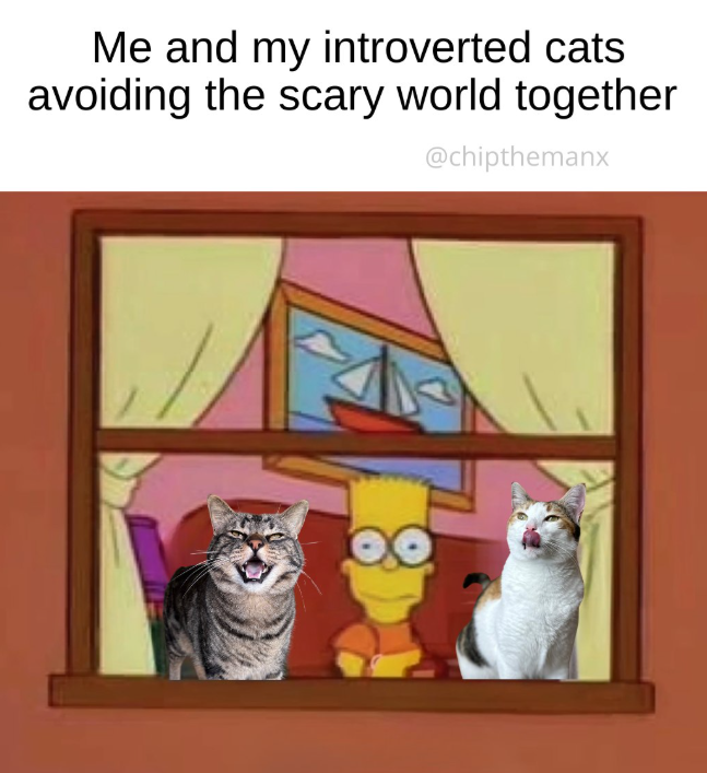 Me and my introverted cats avoiding the scary world together @chipthemanx