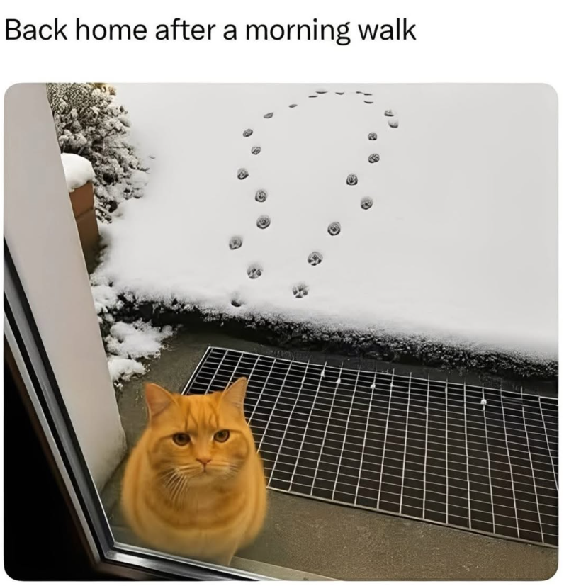 Back home after a morning walk