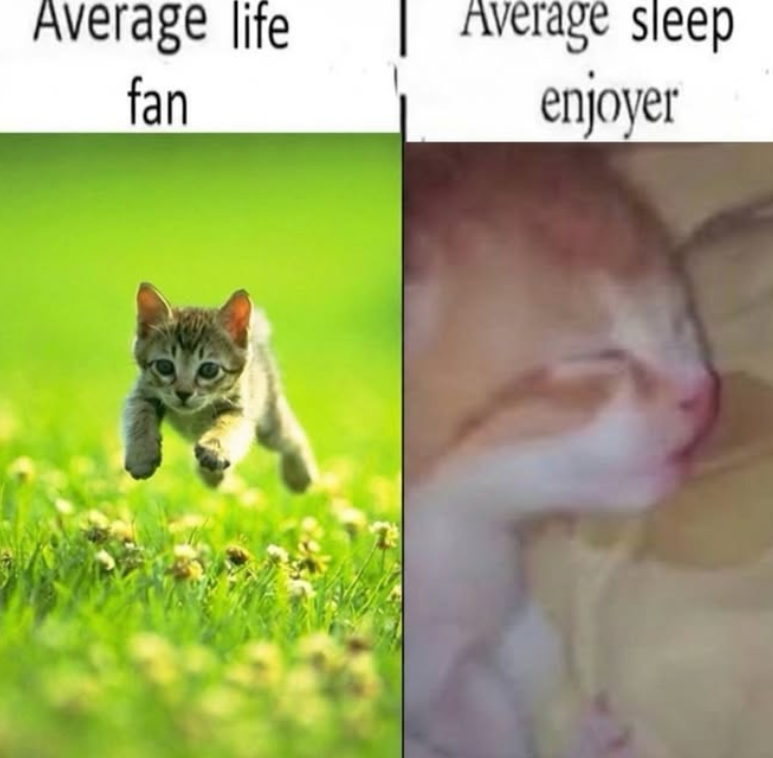 Average life fan Average sleep enjoyer