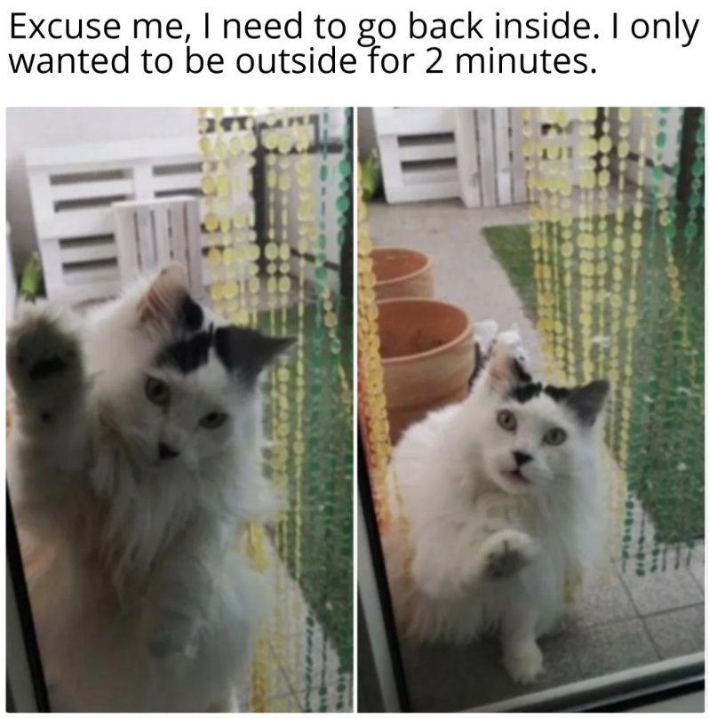 Excuse me, I need to go back inside. I only wanted to be outside for 2 minutes.