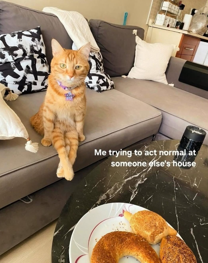 Me trying to act normal at someone else's house