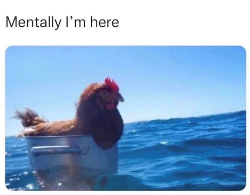 Mentally I'm here