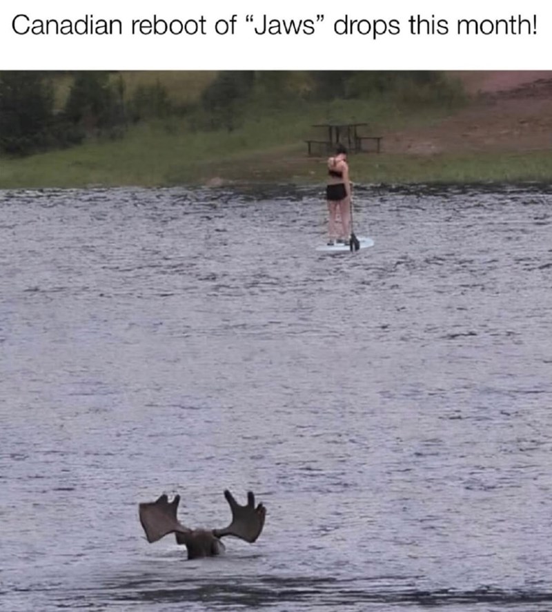 Canadian reboot of "Jaws" drops this month!
