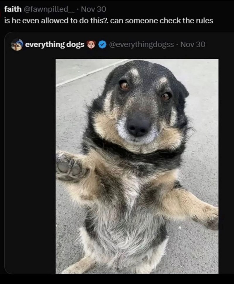 faith @fawnpilled_⚫ Nov 30 is he even allowed to do this?. can someone check the rules everything dogs @everythingdogss⚫ Nov 30