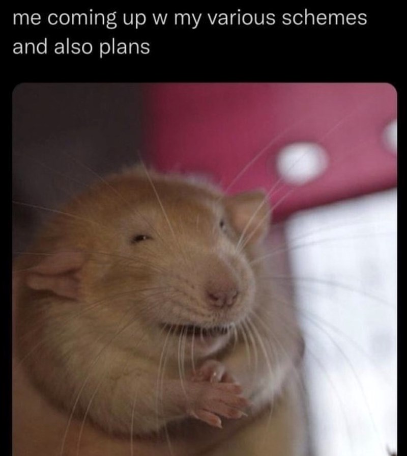 me coming up w my various schemes and also plans