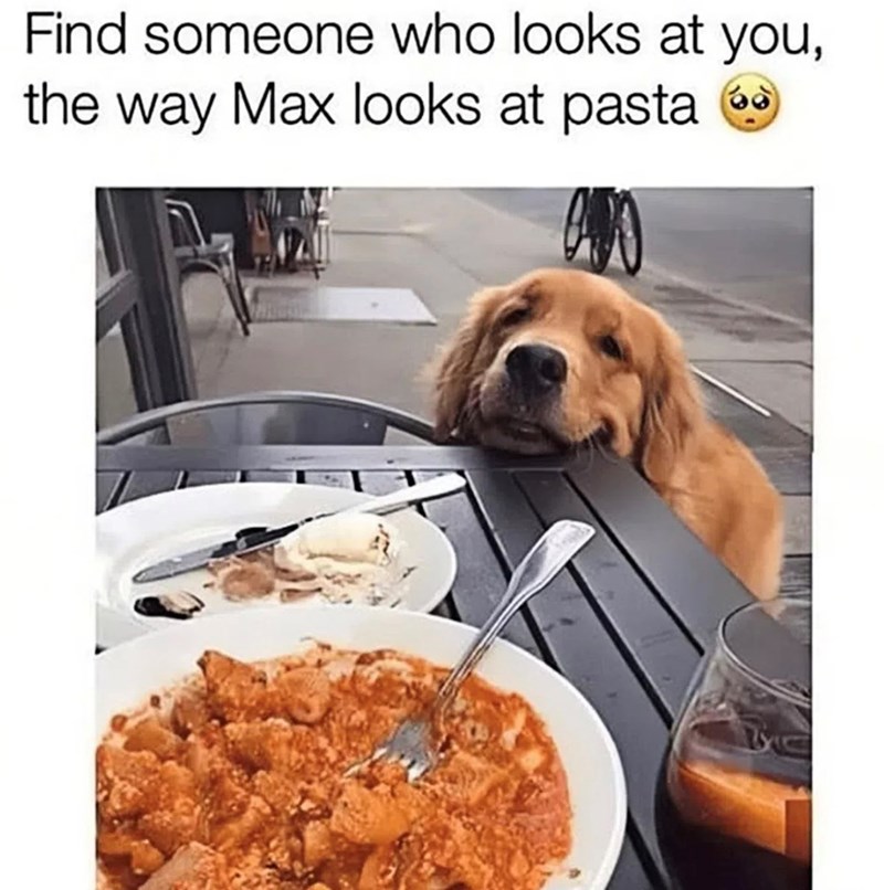 Find someone who looks at you, the way Max looks at pasta ②