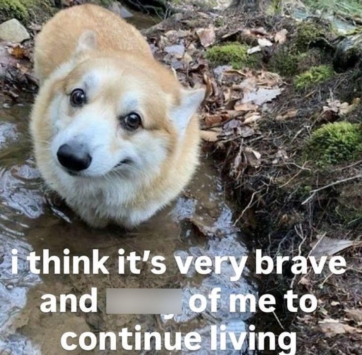 i think it's very brave and of me to continue living